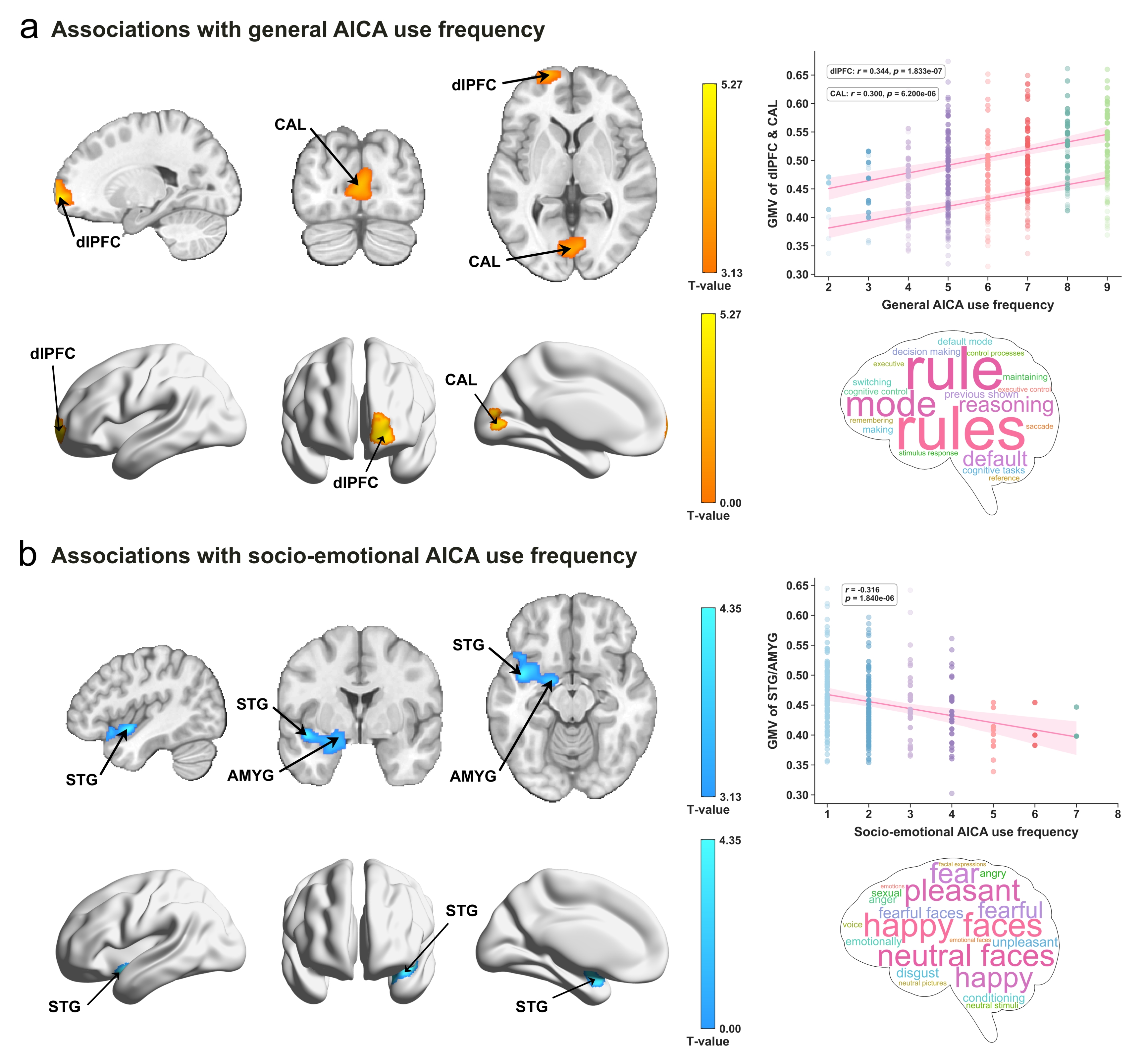 AICA 사용과 뇌 회백질 부피 변화 및 기능적 주석을 보여주는 뇌 지도와 워드 클라우드