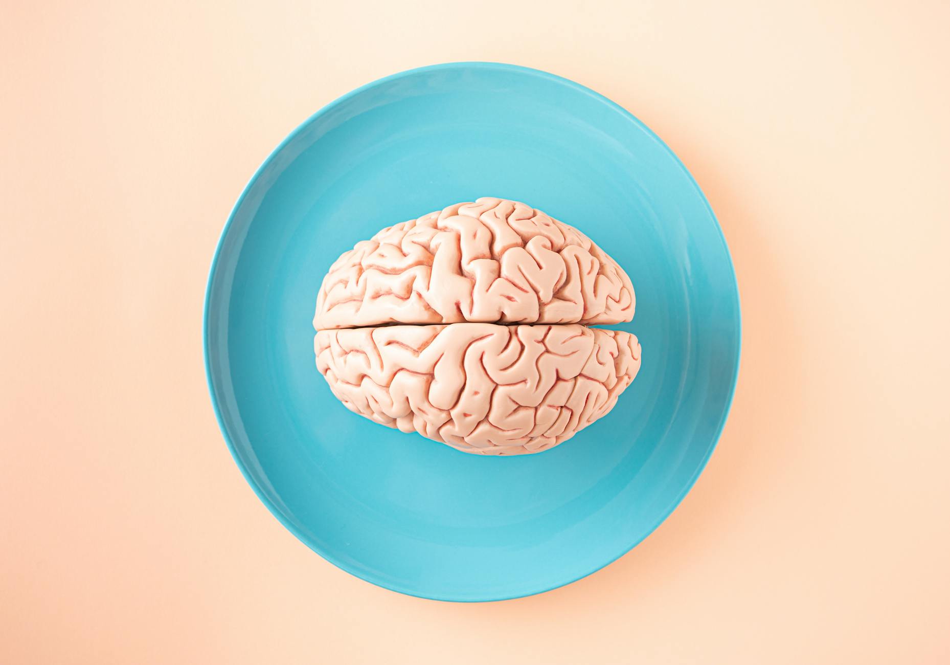 반복은 구식? AI 시대, 개념 성장의 비밀 절차화