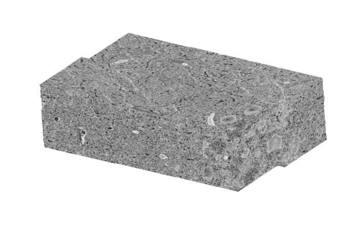 MLI 네트워크 조직 및 기능적으로 특화된 개재신경원 개체군
