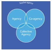 OECD Teaching Compass